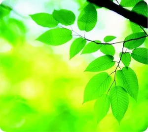 Podložka pod myš, recyklovaná, FELLOWES „Earth Series“, listy